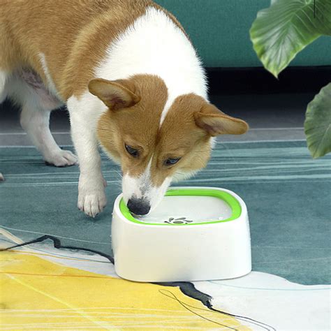 best spill proof dog water bowl|spill resistant dog water bowl.